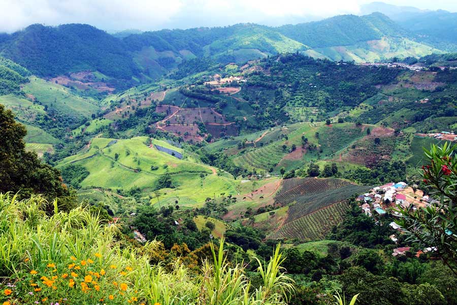 What to do on a 5-Day Tour in Chiang Rai?