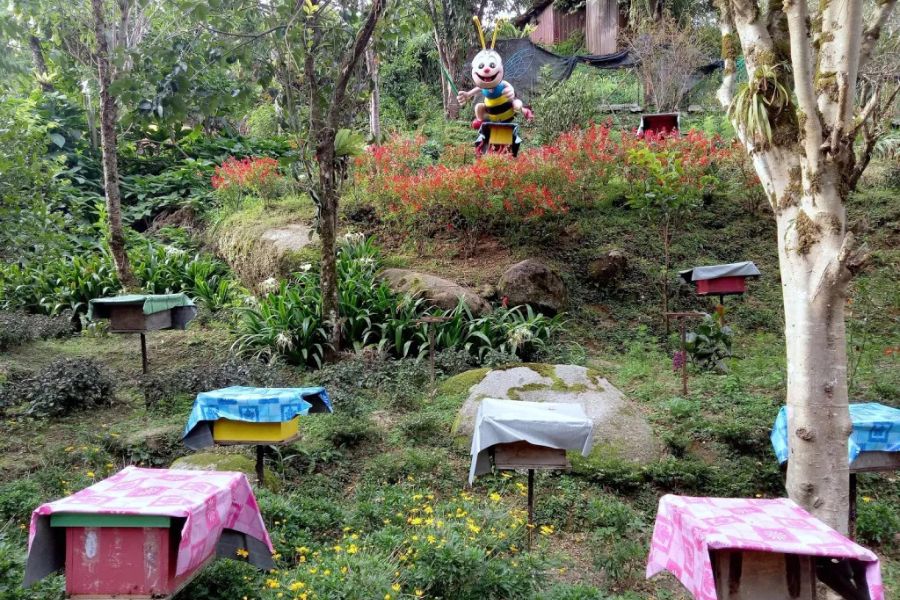 Cameron Tringkap Bee Farm