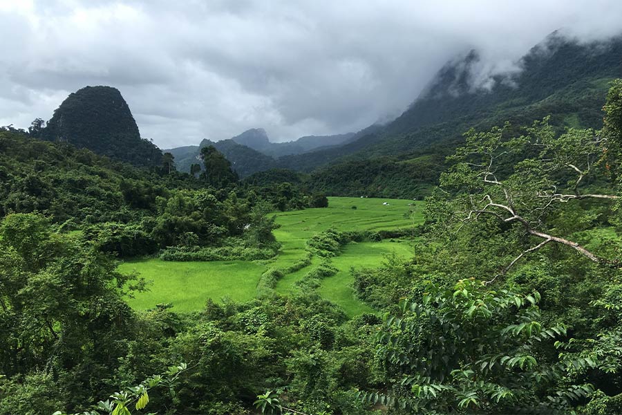 Muang Ngoi Neua Guide: Trekking