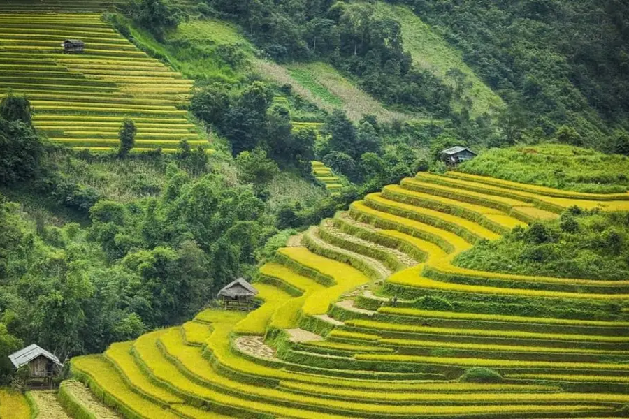 Tips Before Traveling to Northern Vietnam