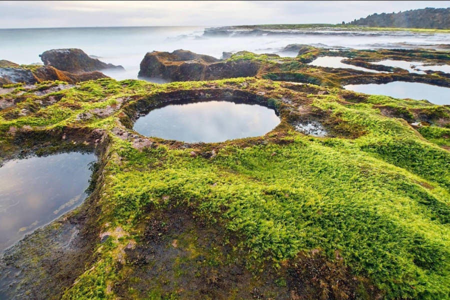 Who Is Hon Do Suitable For?