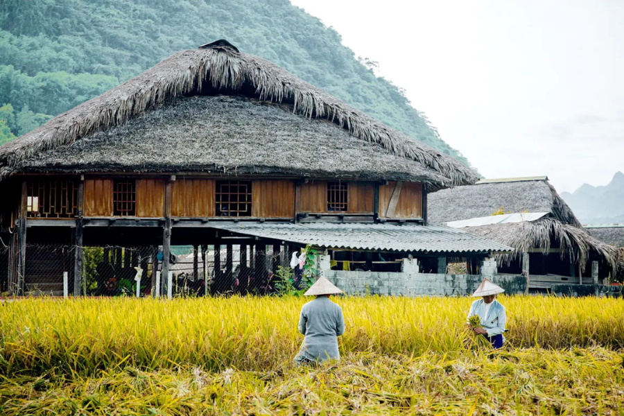 Start your Ha Giang Cultural Tour by spending a night in a traditional Tay stilt house