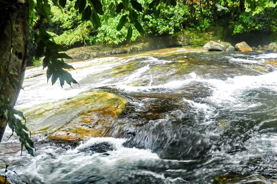 Best time to visit Narathiwat