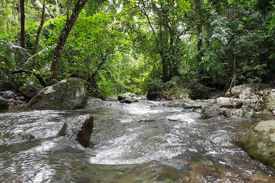 Barhouy Waterfall - Embark on a Forest Adventure