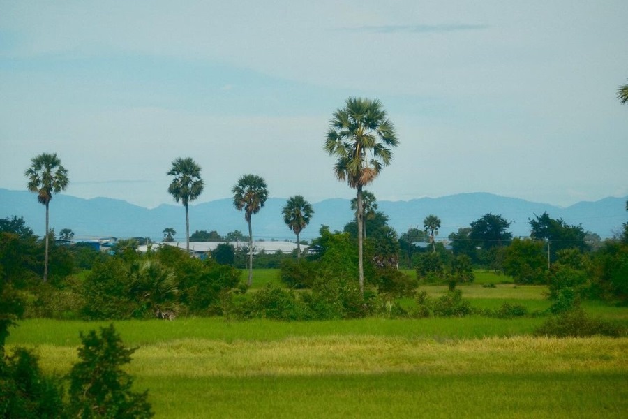 The peak of Phnom Aural is located in Aural district, Kampong Speu province 