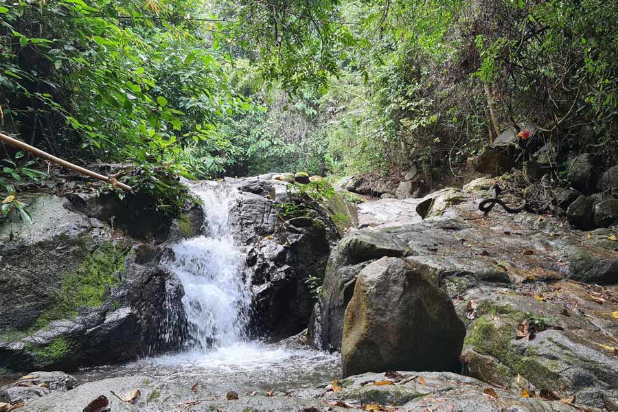 What to do on a 5-Day Tour in Chiang Rai?