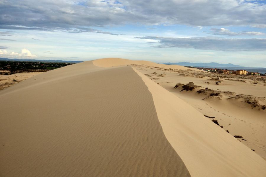 Quang Phu Sand Dunes of Dong Hoi