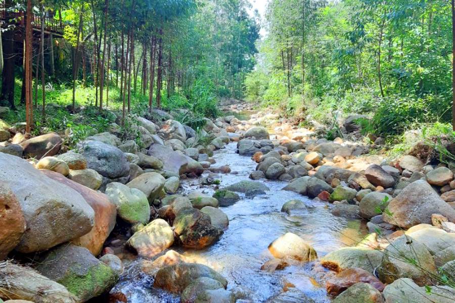 The cool, clear stream water in Mo Waterfall Eco-tourism area (Source: Crystal Bay)