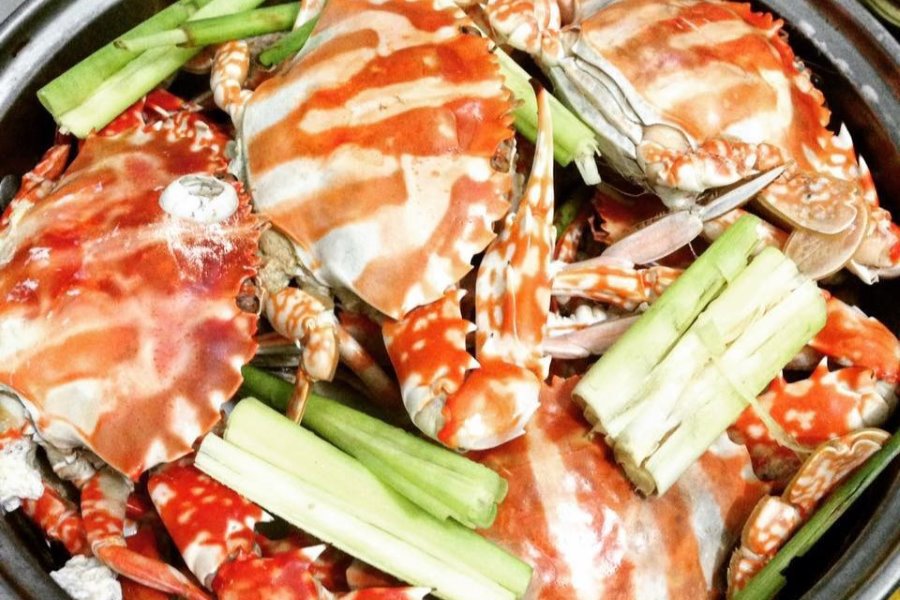 Seafood is the best choice when visiting the beach