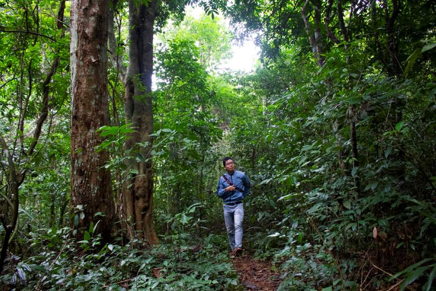 Best time to visit Ru Linh Primeval Forest