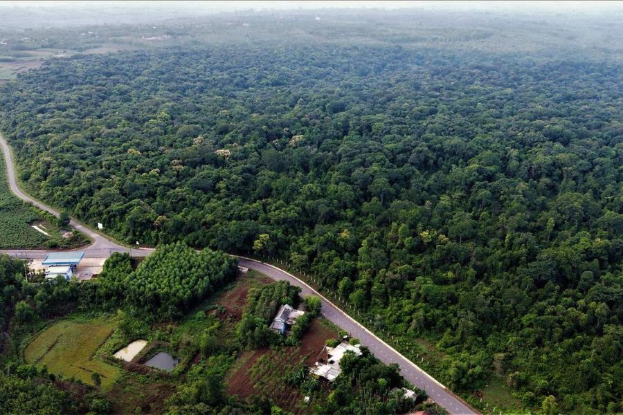 Where is Ru Linh Primeval Forest in Quang Tri