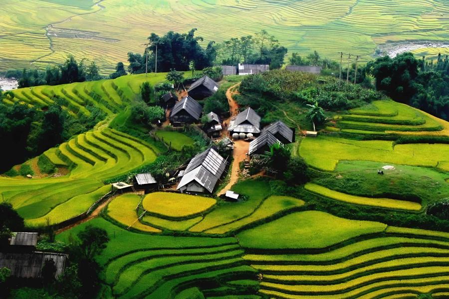 The beautiful terrace field in Ta Phin