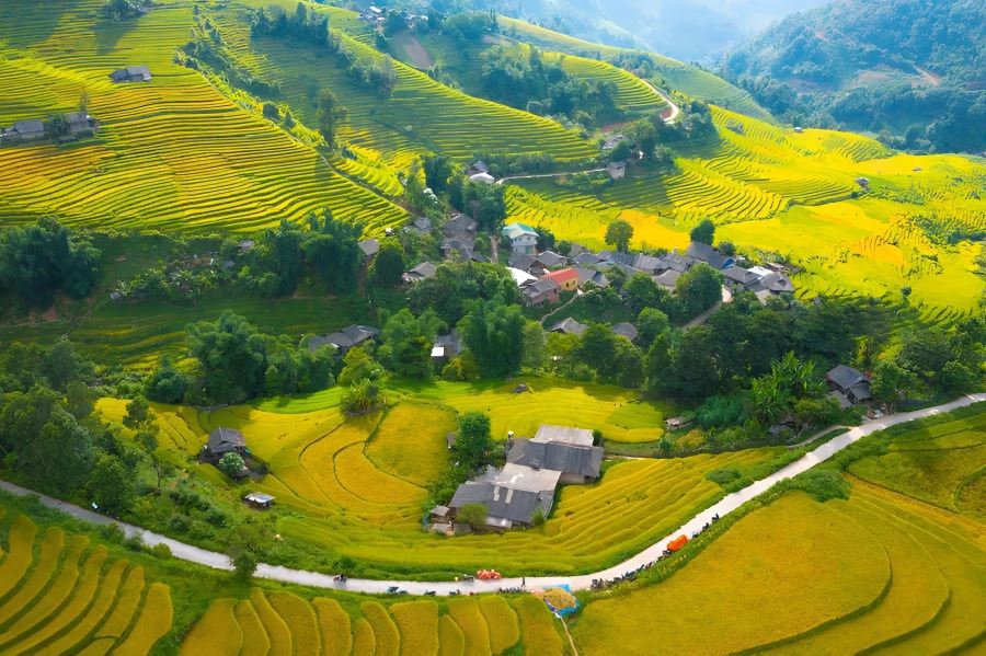 Ta Phin’s Terraced Rice Fields