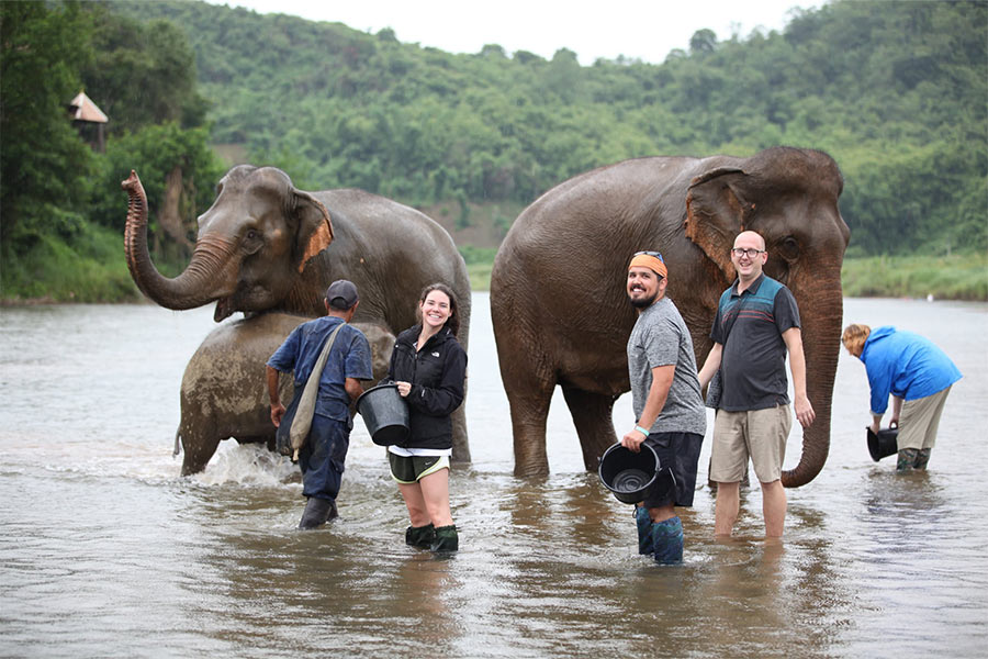 Elephant Conservation Center Travel Guide: What to do