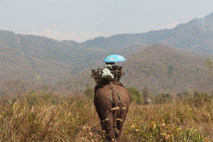 Nam Phouy NBCA Travel Guide: Travel expenses