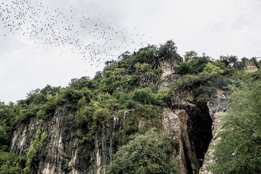 What To Do In Phnom Sampeau