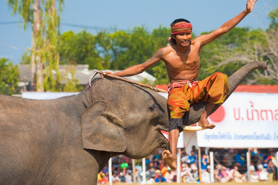 Surin Best time to visit