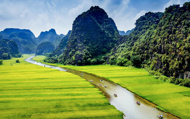 Tam Coc in the ripe rice season