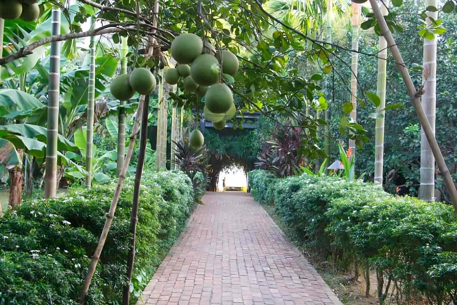 Strolling through Thuy Bieu Village, you’ll pass brick lanes lined with green shade