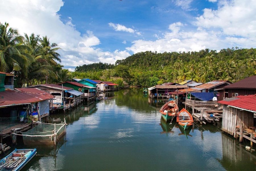 The large size of Tonle Sap Lake makes it a great habitat for many types of fish and wildlife