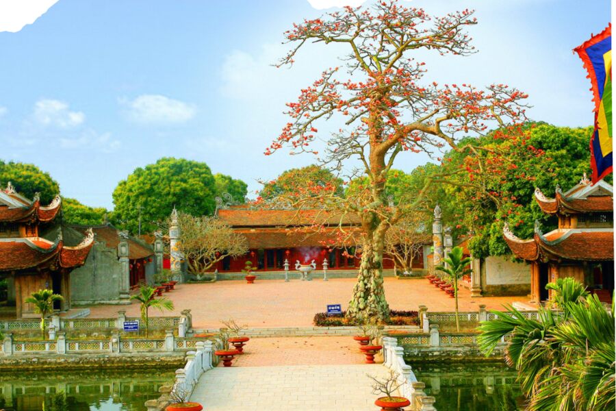A 200-year-old red cotton tree was planted in 1801 under King Canh Thinh's reign