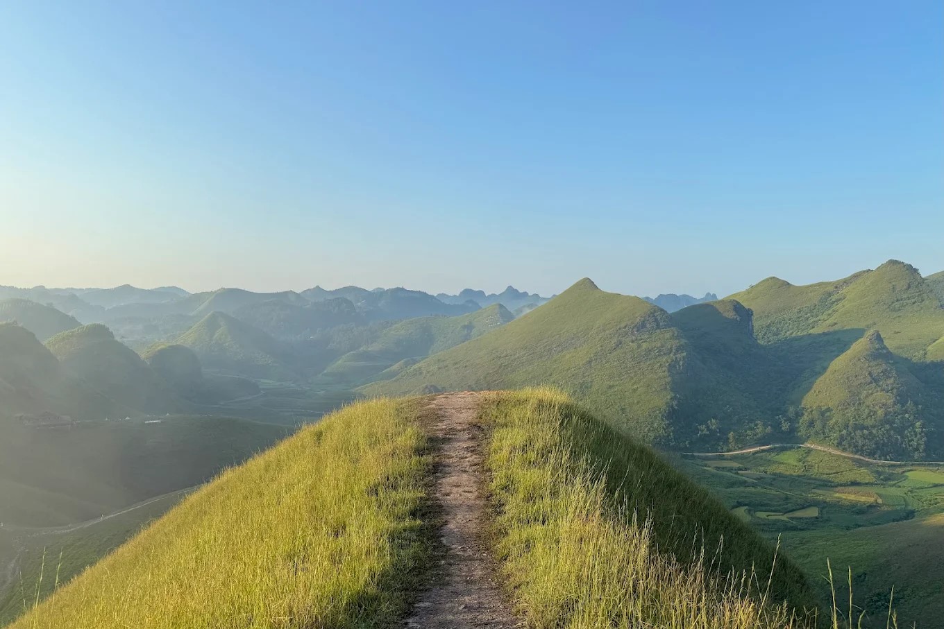 Vinh Quy grass hill