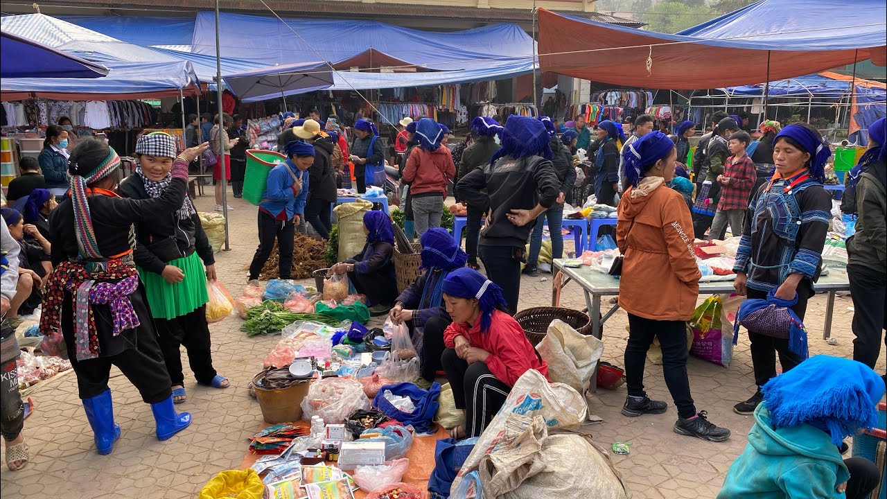 Y Ty market 