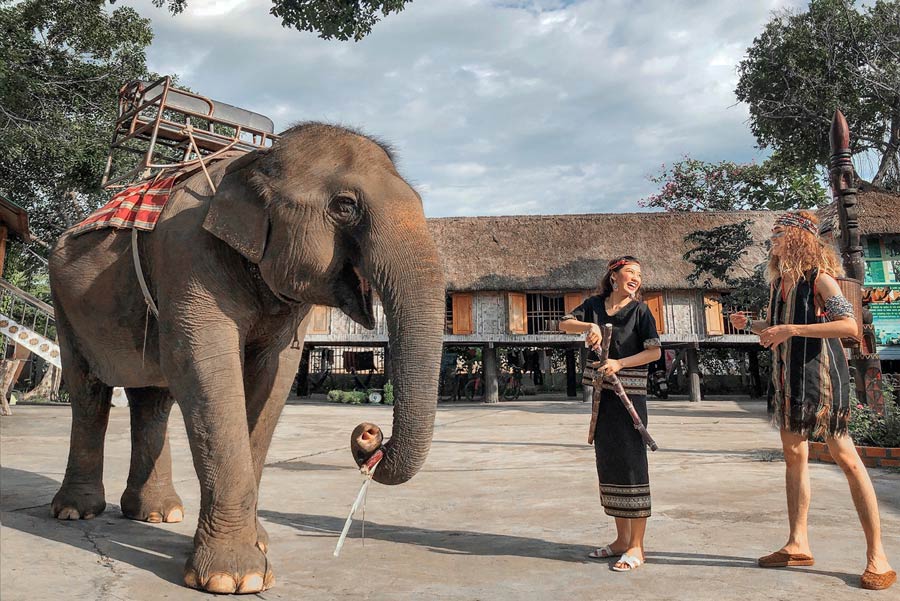 Ride elephants to visit Buon Don