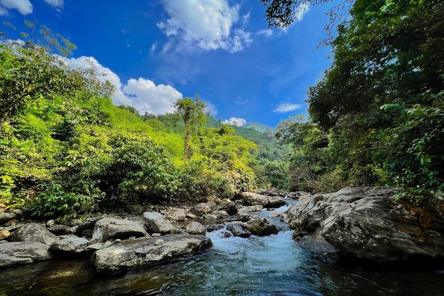 A green and fresh space in Cua Tu Stream