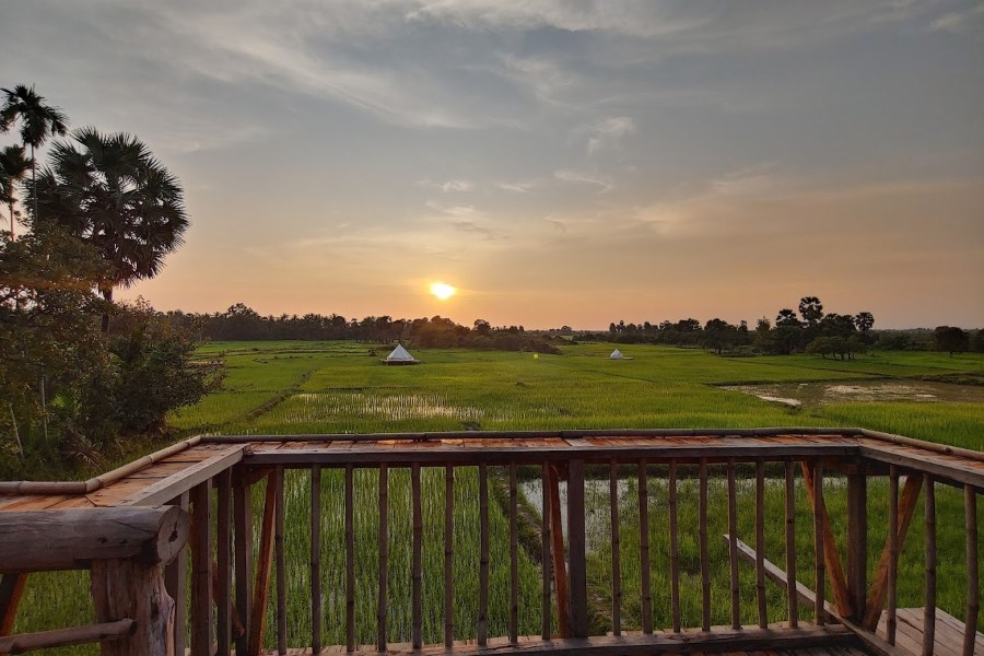 The beautiful paddy fields surrounding the campground