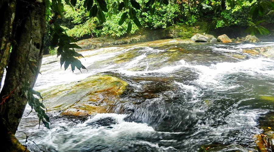 Highlights of Hala Bala Wildlife Sanctuary
