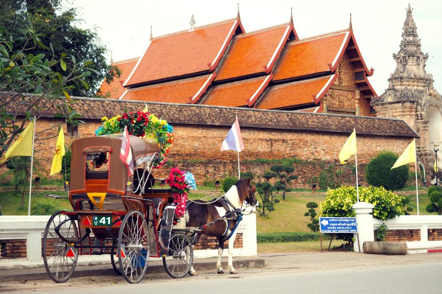 Carriage horse for tourism with the temple of Thailand at Lampang