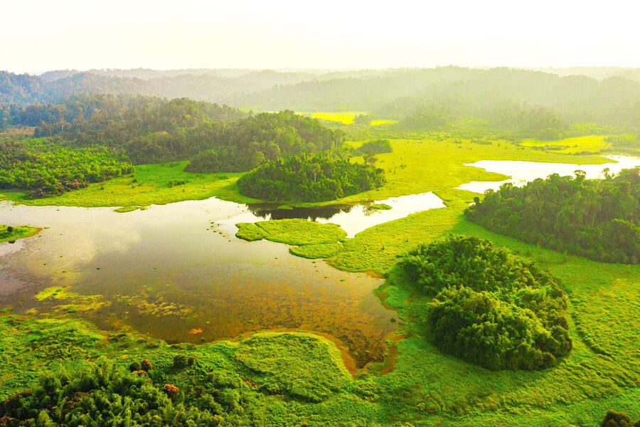 Activities abound at Cat Tien National Park, where you can spend all day long or more without getting bored