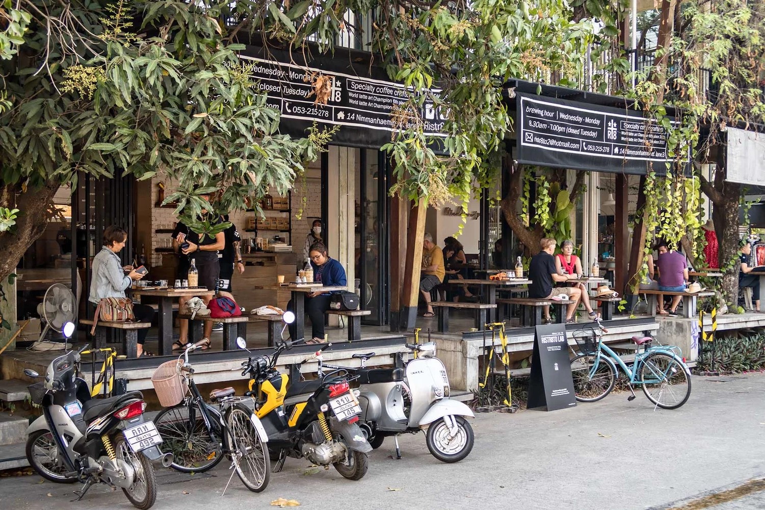 Bangkok or Chiang Mai