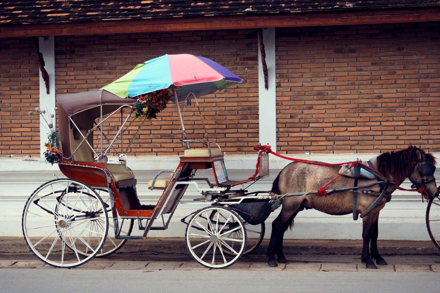 Horse drawn carriage for travellers in Lampang