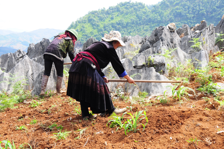 This place also preserves the cultural identity of many ethnic minorities. Source: iVIVU