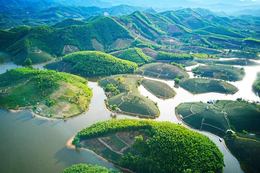 Thanh Chuong Tea Island