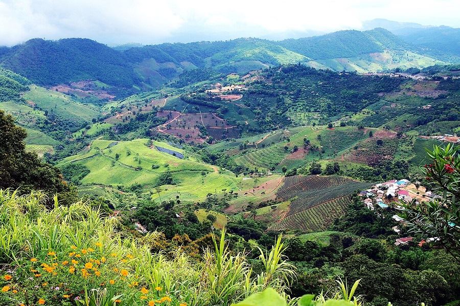 Best time to discover Doi Mae Salong