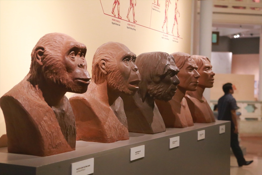 You will be able to admire some of the artefacts in the museum. Source: Laodong News