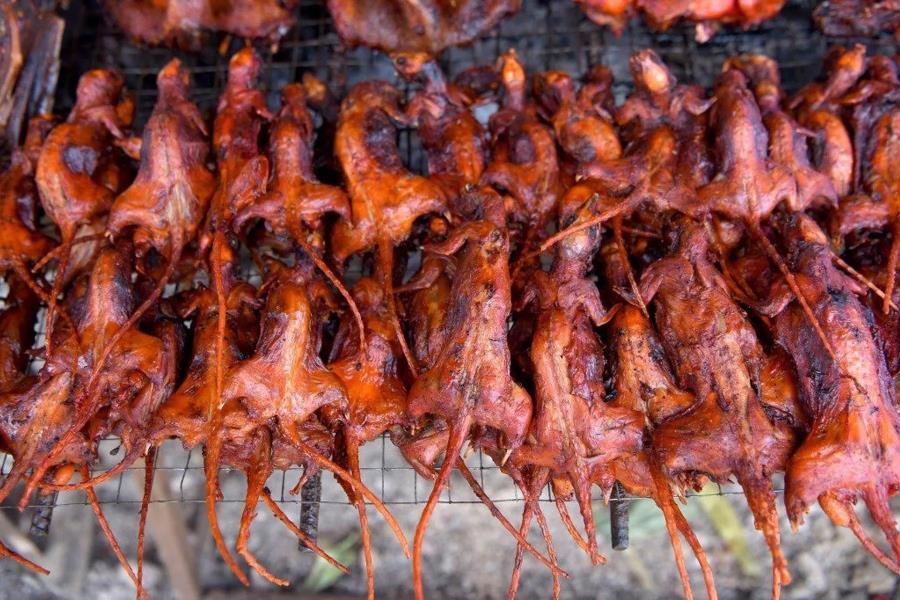 Grilled rats is considered a delicacy in Thailand rural areas