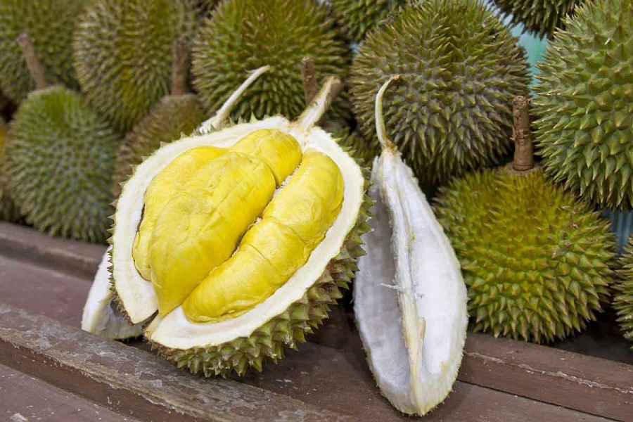 Malaysian durian buffets include both popular and rare varieties
