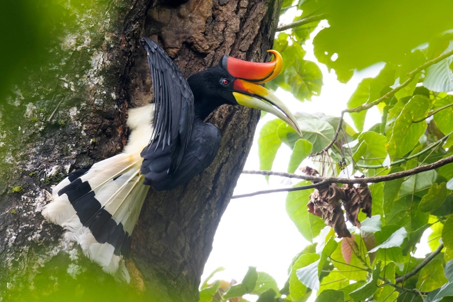 Highlights of Hala Bala Wildlife Sanctuary