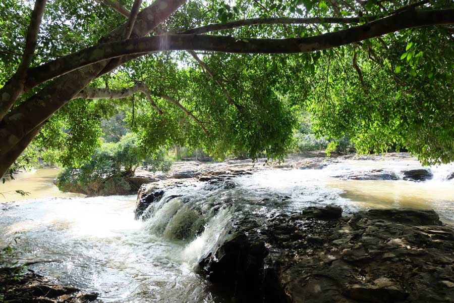 History of Sai Thong National Park