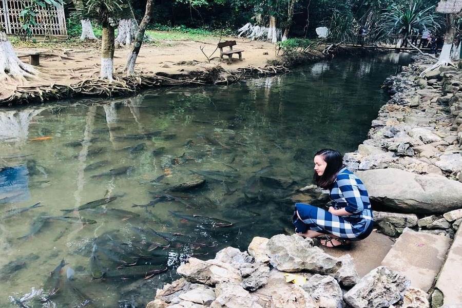 You can come close to feeding fish. Source: Vua Nem.