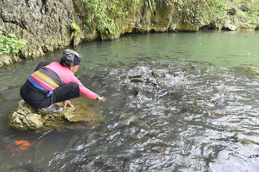 Maintain the landscape around the stream