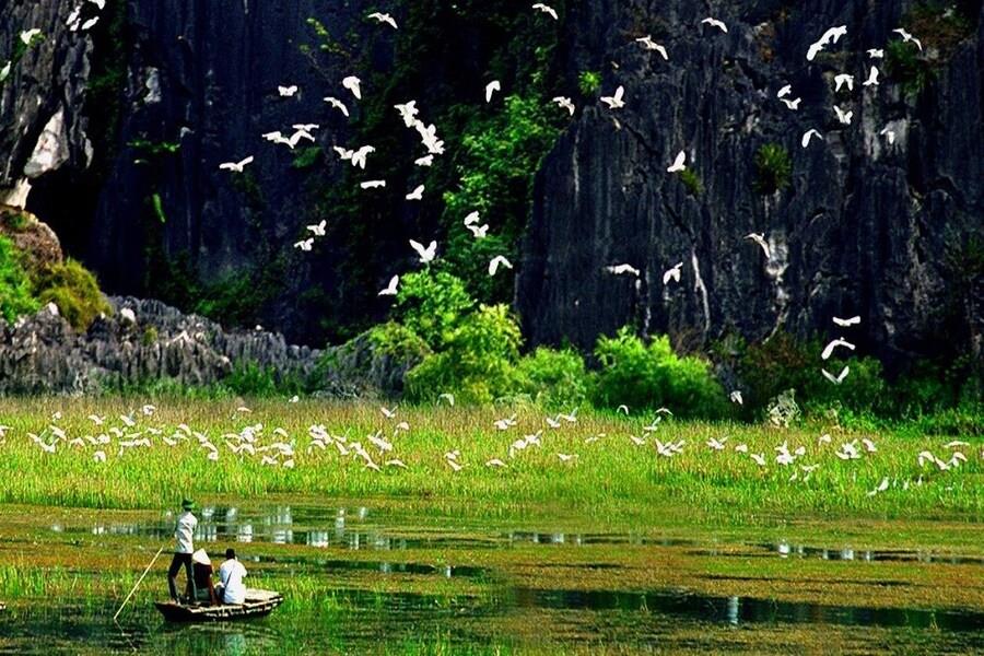 Thung Nham is Bird’s Kingdom
