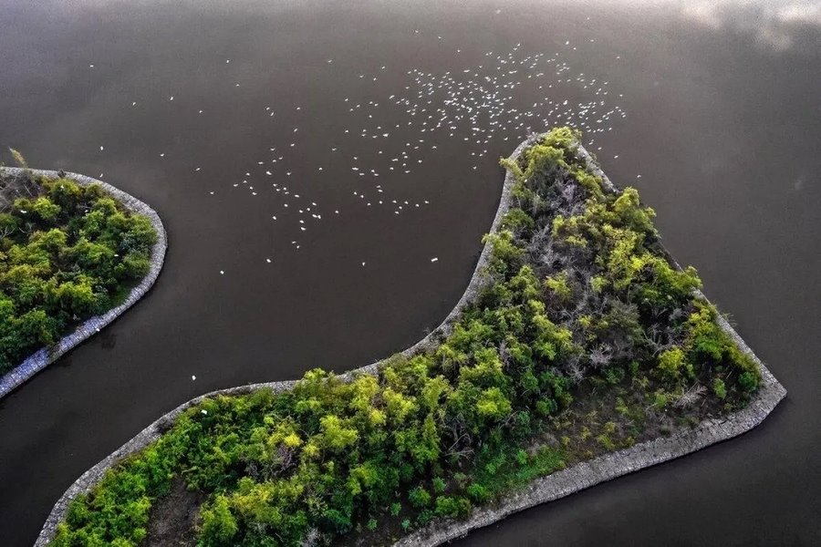 Chi Lang Nam Stork Island with stork flocks looked from above