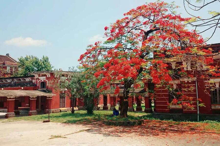 Vibrant beauty at Hue High School