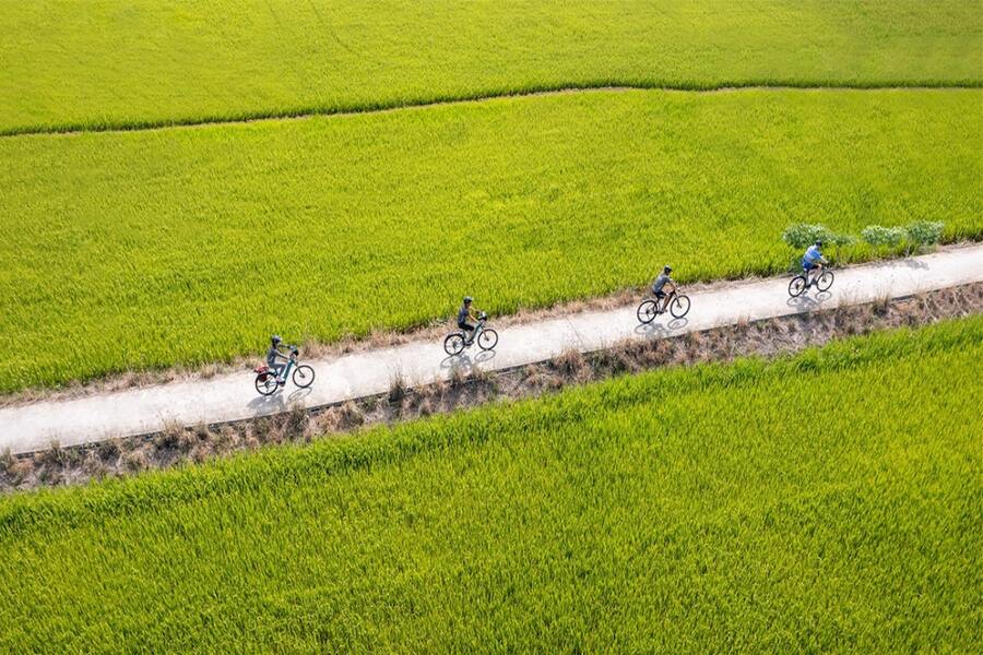 Tra Que Vegetable Village is only a 15-minute bike ride from Hoi An's Ancient Town!