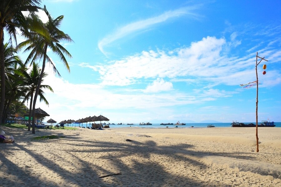 The white sandy shore and rows of coconut trees at Cua Dai Beach